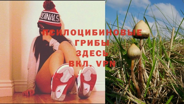СК Лиски