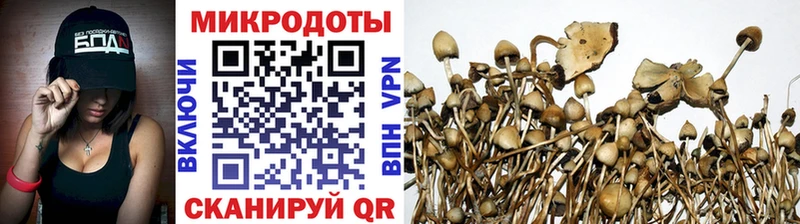 наркошоп Сысерть Галлюциногенные грибы Psilocybine cubensis